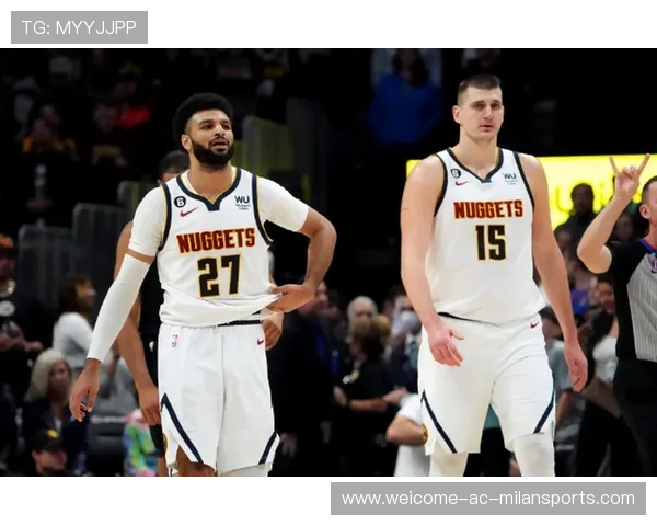 热火vs掘金：数据分析与技术预测，热火队的比赛